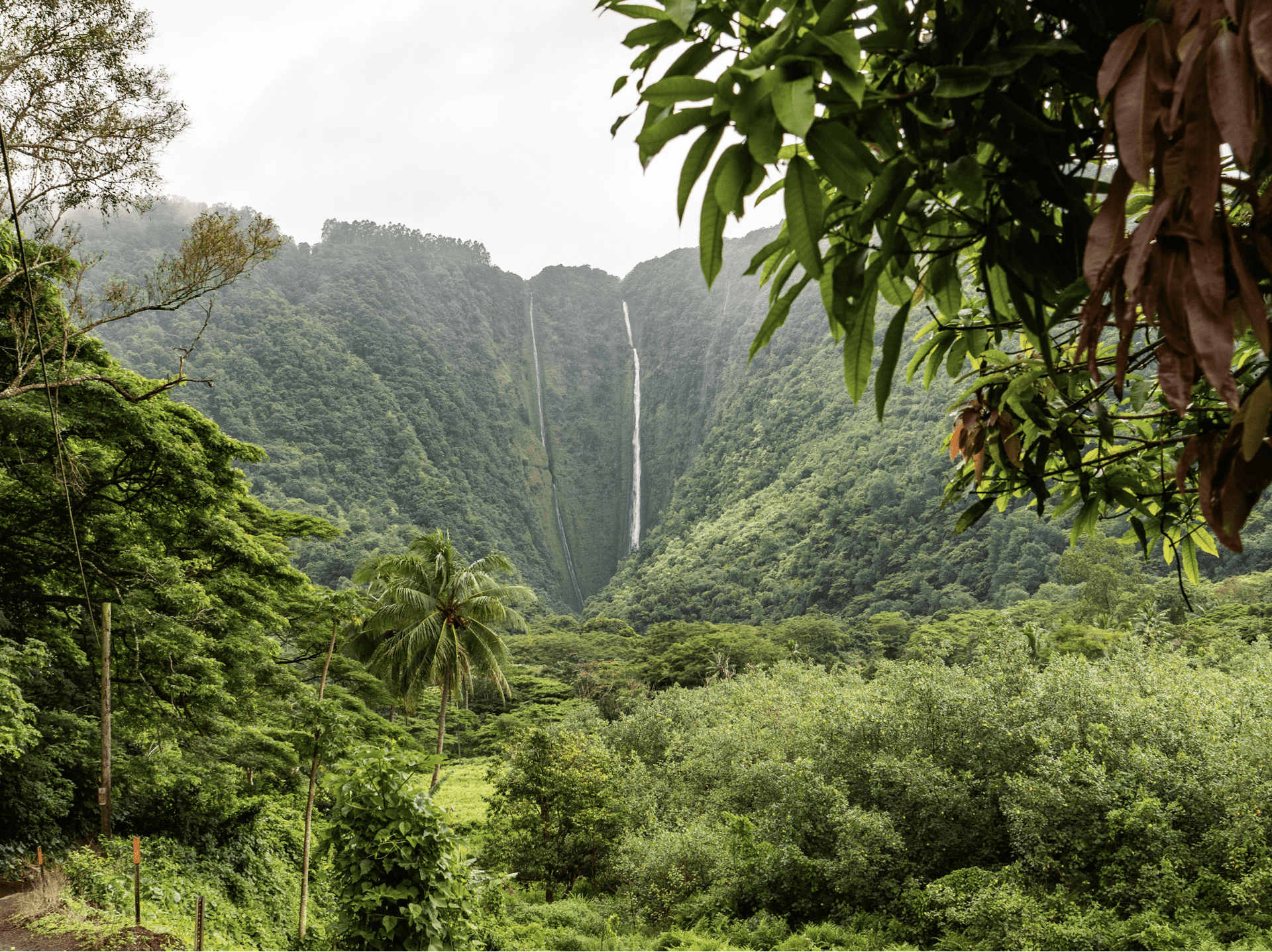 Thanks to Martin Zangirl on Unsplash for this snap of a waterfall in Hawaii.