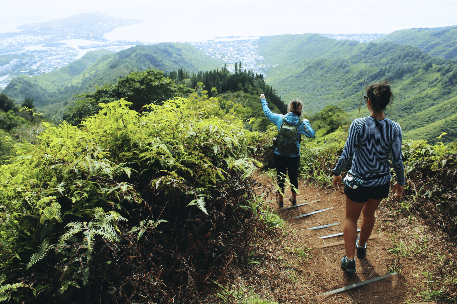 Thanks to Drew Farwell for this snap of hikers on the Wiliwilinui trail. This is one of our favourite ridge hikes on Oahu.