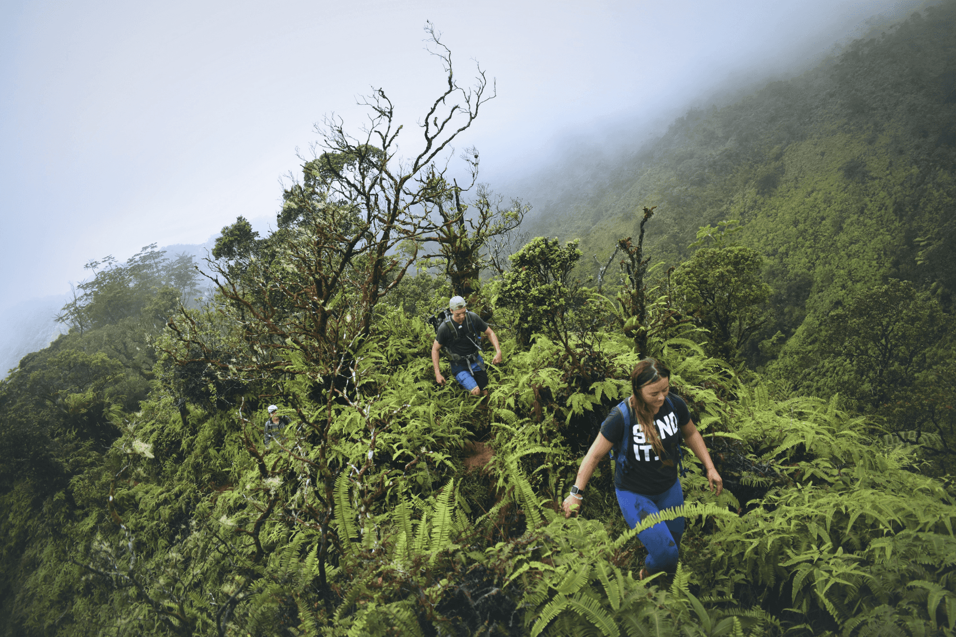 Thanks to Drew Farwell for this snap of hikers deep in the brush on a ridge hike in Hawaii. You would definitely want to bring your rain jacket for this one!