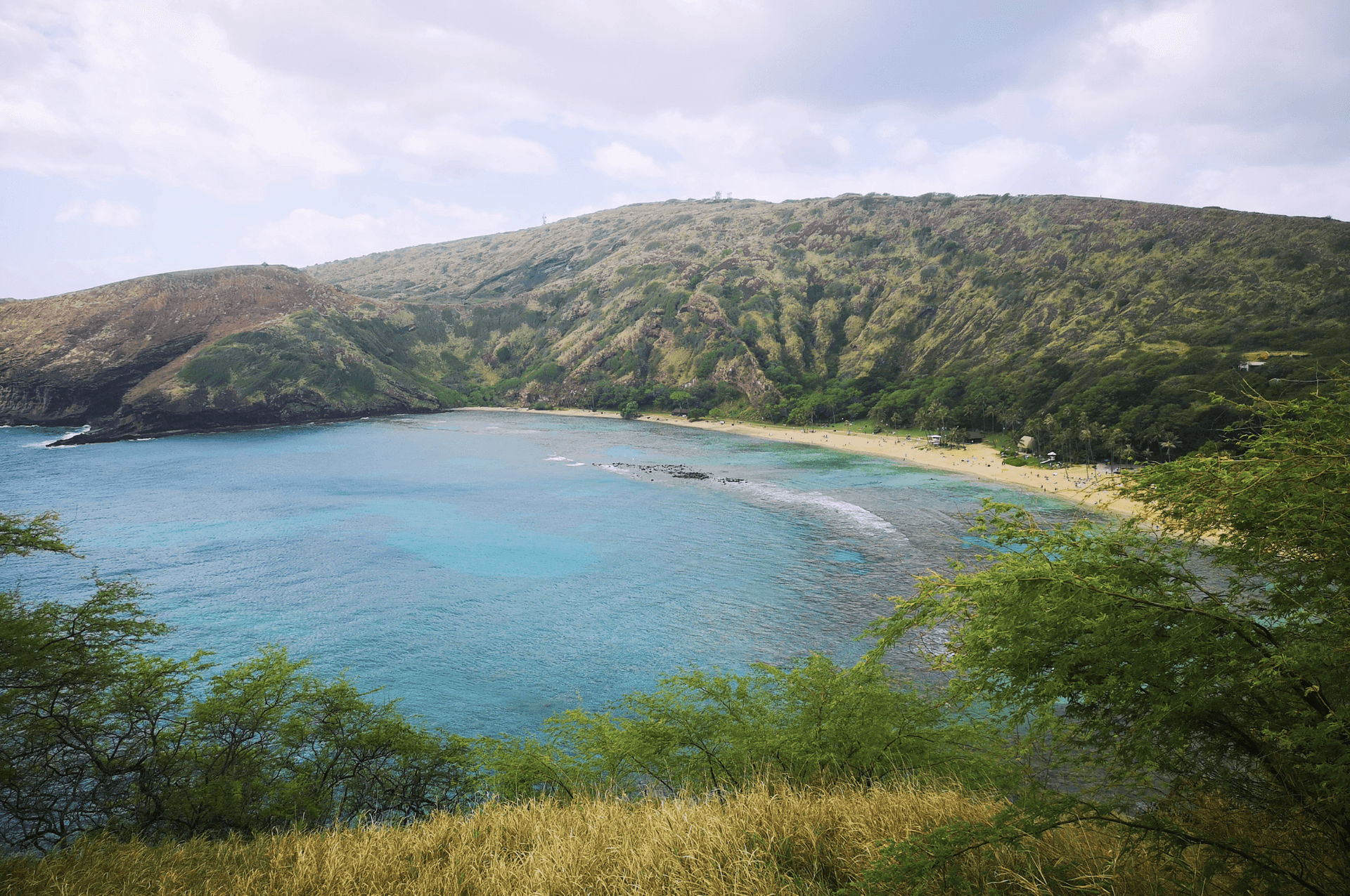Our first view of Hanauma Bay - the stunning curved beach and coral reef area known for its rich natural life.